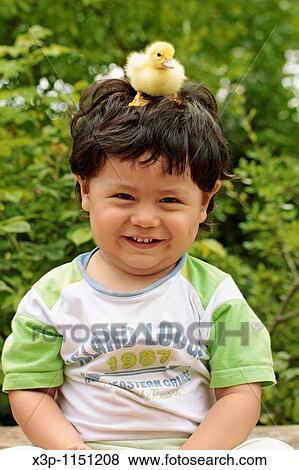 Boy and duckling View Large Photo Image Stock Photo - Boy and duckling. Fotosearch