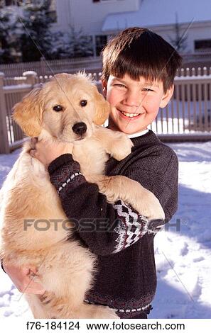Boy and Golden Retriever puppy View Large Photo Image Picture - Boy and Golden Retriever puppy. Fotosearch