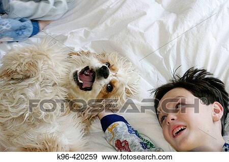 boy and his dog View Large Photo Image Stock Photo - boy and his dog. Fotosearch