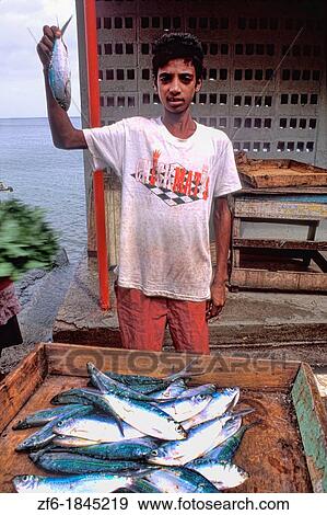 Boy at Fish market Grenada View Large Photo Image Stock Photo - Boy at Fish market Grenada. Fotosearch
