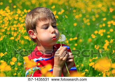 boy blowing Dandelion seeds View Large Photo Image Stock Image - boy blowing Dandelion seeds. Fotosearch