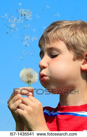 boy blowing Dandelion seeds View Large Photo Image Stock Image - boy blowing Dandelion seeds. Fotosearch