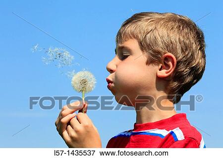 boy blowing Dandelion seeds View Large Photo Image Stock Photo - boy blowing Dandelion seeds. Fotosearch