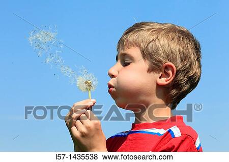 boy blowing Dandelion seeds View Large Photo Image Stock Photo - boy blowing Dandelion seeds. Fotosearch