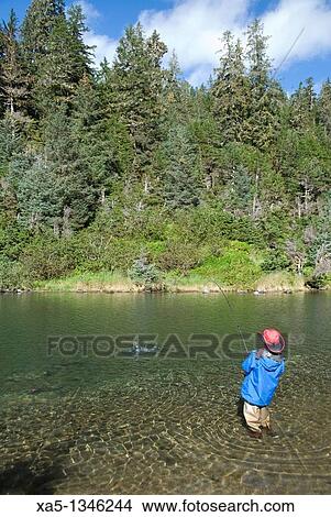 Boy catching a Silver Salmon, Shrode Lake, Prince William Sound, Alaska, USA View Large Photo Image Picture - Boy catching a Silver Salmon, Shrode Lake, Prince William Sound, Alaska, USA. Fotosearch
