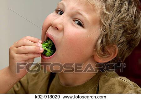 Boy eating broccoli View Large Photo Image Stock Photo - Boy eating broccoli. Fotosearch