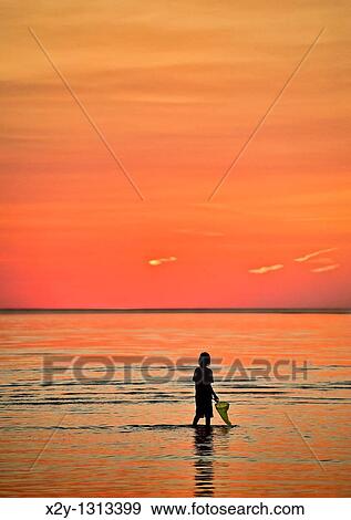 Boy explores the shallow waters with a fishing net Cape Cod, MA, Massachusetts View Large Photo Image Stock Photo - Boy explores the shallow waters with a fishing net Cape Cod, MA, Massachusetts. Fotosearch
