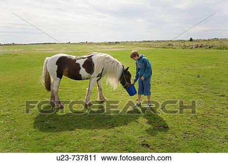 Stock Image - Boy feeding a horse.. Fotosearch