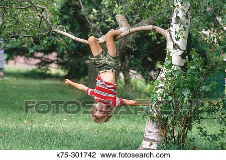 boy hanging from a tree branch View Large Photo Image Stock Image - boy hanging from a tree branch. Fotosearch