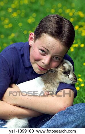 Boy holding a Young Pygmy Goat View Large Photo Image Stock Image - Boy holding a Young Pygmy Goat. Fotosearch
