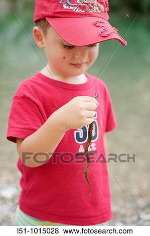 Boy holding and looking a little snake View Large Photo Image Stock Photo - Boy holding and looking a little snake. Fotosearch