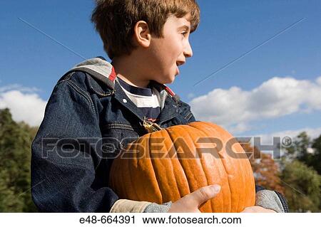 Boy holding pumpkin in pumpkin patch View Large Photo Image Stock Image - Boy holding pumpkin in pumpkin patch. Fotosearch