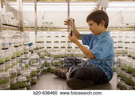 Boy in agricultural genetics laboratory Neiker-Tecnalia, Instituto Vasco de Investigaci? n y Desarrollo Agrario. Arkaute, Alava, Euskadi, Spain View Large Photo Image Stock Image - Boy in agricultural genetics laboratory Neiker-Tecnalia, Instituto Vasco de Investigaci? n y Desarrollo Agrario. Arkaute, Alava, Euskadi, Spain. Fotosearch