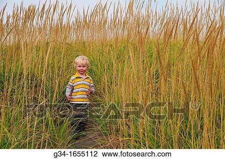 Boy in the Grass View Large Photo Image Stock Image - Boy in the Grass. Fotosearch