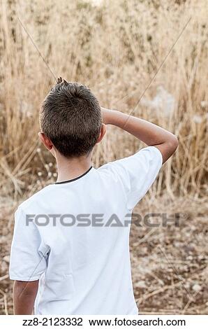 Boy looking away. View Large Photo Image Stock Image - Boy looking away.. Fotosearch