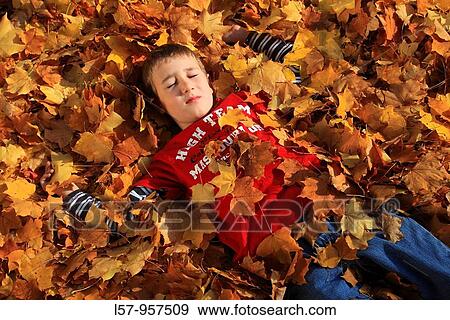 boy lying in pile of leaves, fall Zuerich, Switzerland View Large Photo Image Stock Photo - boy lying in pile of leaves, fall Zuerich, Switzerland. Fotosearch