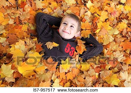 boy lying in pile of leaves, fall Zuerich, Switzerland View Large Photo Image Stock Photo - boy lying in pile of leaves, fall Zuerich, Switzerland. Fotosearch