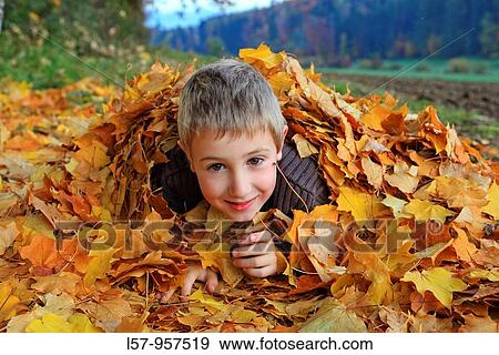 boy lying in pile of leaves, fall Zuerich, Switzerland View Large Photo Image Stock Photo - boy lying in pile of leaves, fall Zuerich, Switzerland. Fotosearch