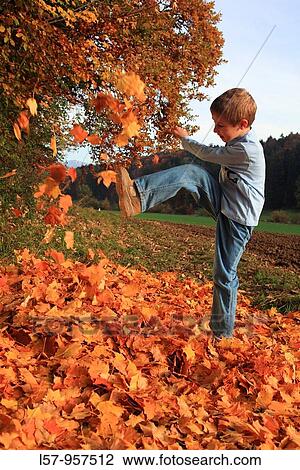 boy playing in pile of leaves, fall Zuerich, Switzerland View Large Photo Image Stock Image - boy playing in pile of leaves, fall Zuerich, Switzerland. Fotosearch