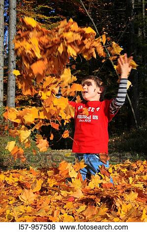 boy playing in pile of leaves, fall Zuerich, Switzerland View Large Photo Image Stock Photo - boy playing in pile of leaves, fall Zuerich, Switzerland. Fotosearch