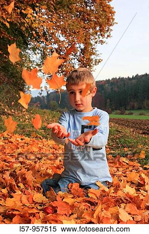 boy playing in pile of leaves, fall Zuerich, Switzerland View Large Photo Image Stock Photography - boy playing in pile of leaves, fall Zuerich, Switzerland. Fotosearch