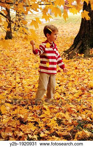 Stock Image - Boy playing in yellow autumn leaves. Fotosearch