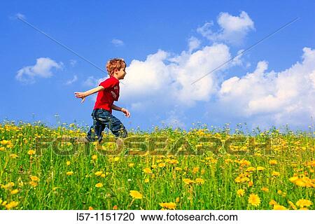 boy running through field of Dandelions, Zuercher Oberland, Zuerich, Switzerland View Large Photo Image Stock Image - boy running through field of Dandelions, Zuercher Oberland, Zuerich, Switzerland. Fotosearch