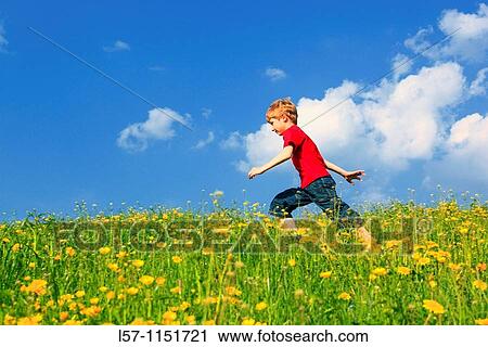boy running through field of Dandelions, Zuercher Oberland, Zuerich, Switzerland View Large Photo Image Stock Image - boy running through field of Dandelions, Zuercher Oberland, Zuerich, Switzerland. Fotosearch