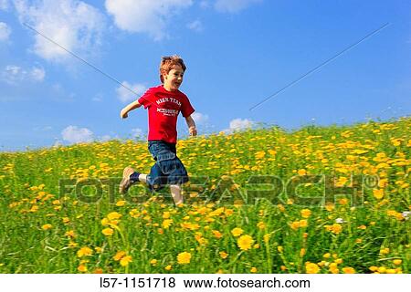 boy running through field of Dandelions, Zuercher Oberland, Zuerich, Switzerland View Large Photo Image Stock Photo - boy running through field of Dandelions, Zuercher Oberland, Zuerich, Switzerland. Fotosearch
