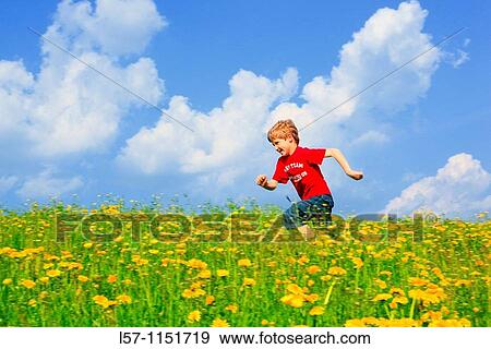 boy running through field of Dandelions, Zuercher Oberland, Zuerich, Switzerland View Large Photo Image Stock Photo - boy running through field of Dandelions, Zuercher Oberland, Zuerich, Switzerland. Fotosearch