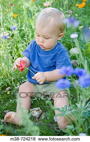 Boy sitting in wild flowers View Large Photo Image Stock Photo - Boy sitting in wild flowers. Fotosearch