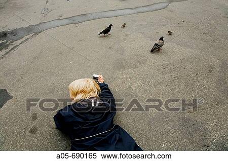 Boy taking picture, Bergen. Hordaland, Norway View Large Photo Image Stock Photography - Boy taking picture, Bergen. Hordaland, Norway. Fotosearch