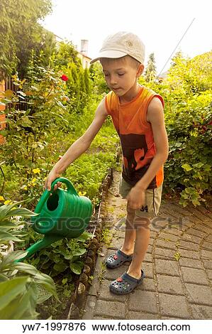 Boy watering flowers with plastic green water can in a garden View Large Photo Image Stock Photograph - Boy watering flowers with plastic green water can in a garden. Fotosearch