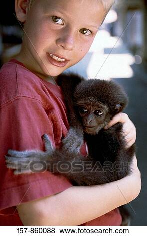 Boy with a baby manokey in Koh Samui, Thailand View Large Photo Image Stock Photo - Boy with a baby manokey in Koh Samui, Thailand. Fotosearch