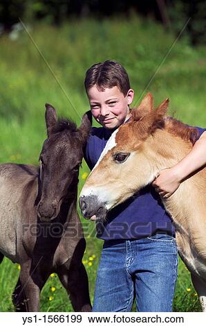 Stock Photo - Boy With a Foal of Norman Cob, Normandy. Fotosearch