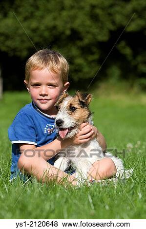 Boy with a Wire-Haired Fox Terrier Dog, Pup standing on Lawn. View Large Photo Image Stock Photo - Boy with a Wire-Haired Fox Terrier Dog, Pup standing on Lawn.. Fotosearch
