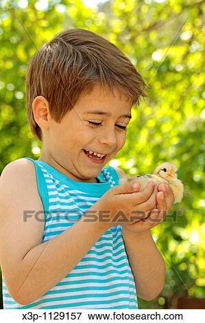 Boy with chick View Large Photo Image Stock Photo - Boy with chick. Fotosearch