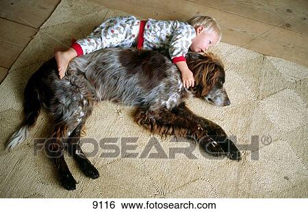 Boy with dog (German Longhaired Pointer) View Large Photo Image Stock Photograph - Boy with dog (German Longhaired Pointer). Fotosearch