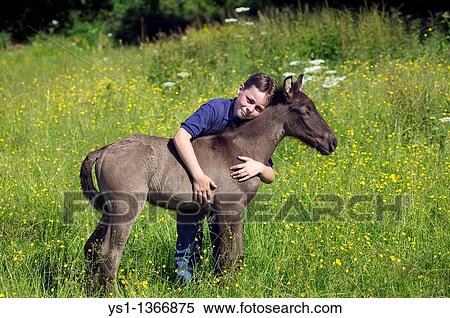 BOY WITH FOAL View Large Photo Image Stock Photography - BOY WITH FOAL. Fotosearch