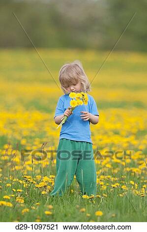 boy with long hair standing in a dandelion field View Large Photo Image Stock Image - boy with long hair standing in a dandelion field. Fotosearch