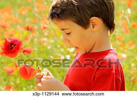 Boy with poppies View Large Photo Image Picture - Boy with poppies. Fotosearch