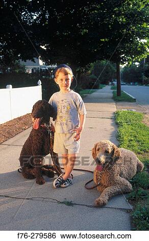 Stock Photograph - Boy with standard poodles. Fotosearch