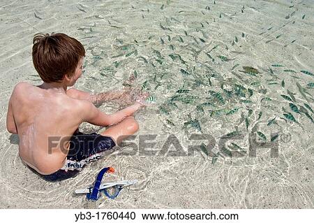 Boy with tropical fish, Nang Yuan beach, Ko Tao, Thailand View Large Photo Image Stock Image - Boy with tropical fish, Nang Yuan beach, Ko Tao, Thailand. Fotosearch