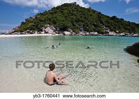 Boy with tropical fish, Nang Yuan beach, Ko Tao, Thailand View Large Photo Image Stock Image - Boy with tropical fish, Nang Yuan beach, Ko Tao, Thailand. Fotosearch