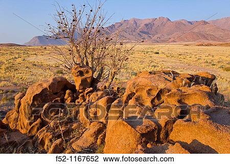 Stock Image - Brandberg mountain, Namib Desert, Namibia. Fotosearch