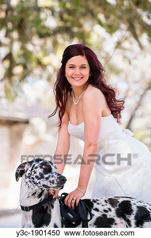 Bridal portrait - A young bride in wedding dress posing with a black and white Great Dane dog, Concan, Texas, USA, Female Caucasian, 23 years old View Large Photo Image Stock Image - Bridal portrait - A young bride in wedding dress posing with a black and white Great Dane dog, Concan, Texas, USA, Female Caucasian, 23 years old. Fotosearch