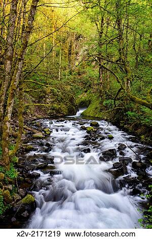 Bridal Veil Creek along the Columbia River Gorge. View Large Photo Image Stock Photo - Bridal Veil Creek along the Columbia River Gorge.. Fotosearch