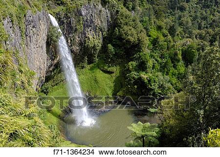 Picture - Bridal Veil Falls Maori Waireinga is a plunge waterfall located along the Pakoka River in the Waikato area of New Zealand The waterfall is 55 metres high, and has over time caused the formation of a large pool at the base of the waterfall. Fotosearch