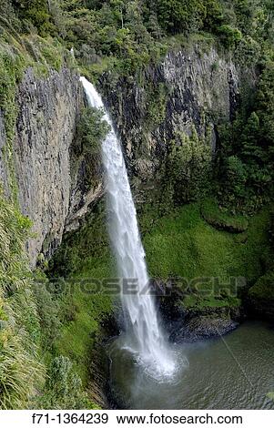 Bridal Veil Falls Maori Waireinga is a plunge waterfall located along the Pakoka River in the Waikato area of New Zealand The waterfall is 55 metres high, and has over time caused the formation of a large pool at the base of the waterfall View Large Photo Image Stock Photo - Bridal Veil Falls Maori Waireinga is a plunge waterfall located along the Pakoka River in the Waikato area of New Zealand The waterfall is 55 metres high, and has over time caused the formation of a large pool at the base of the waterfall. Fotosearch