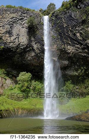 Bridal Veil Falls Maori Waireinga is a plunge waterfall located along the Pakoka River in the Waikato area of New Zealand The waterfall is 55 metres high, and has over time caused the formation of a large pool at the base of the waterfall View Large Photo Image Stock Photography - Bridal Veil Falls Maori Waireinga is a plunge waterfall located along the Pakoka River in the Waikato area of New Zealand The waterfall is 55 metres high, and has over time caused the formation of a large pool at the base of the waterfall. Fotosearch